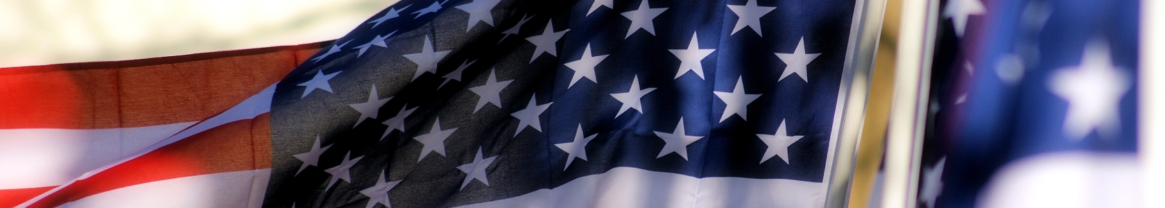 Picture of American Flag