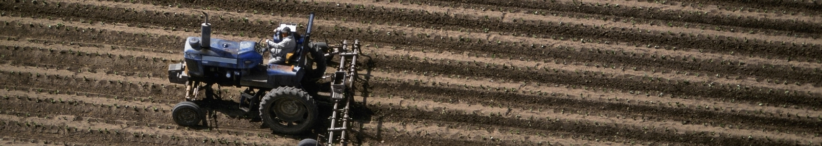 Picture of tractor tilling field