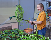 Photo of Ag Club watering flowers